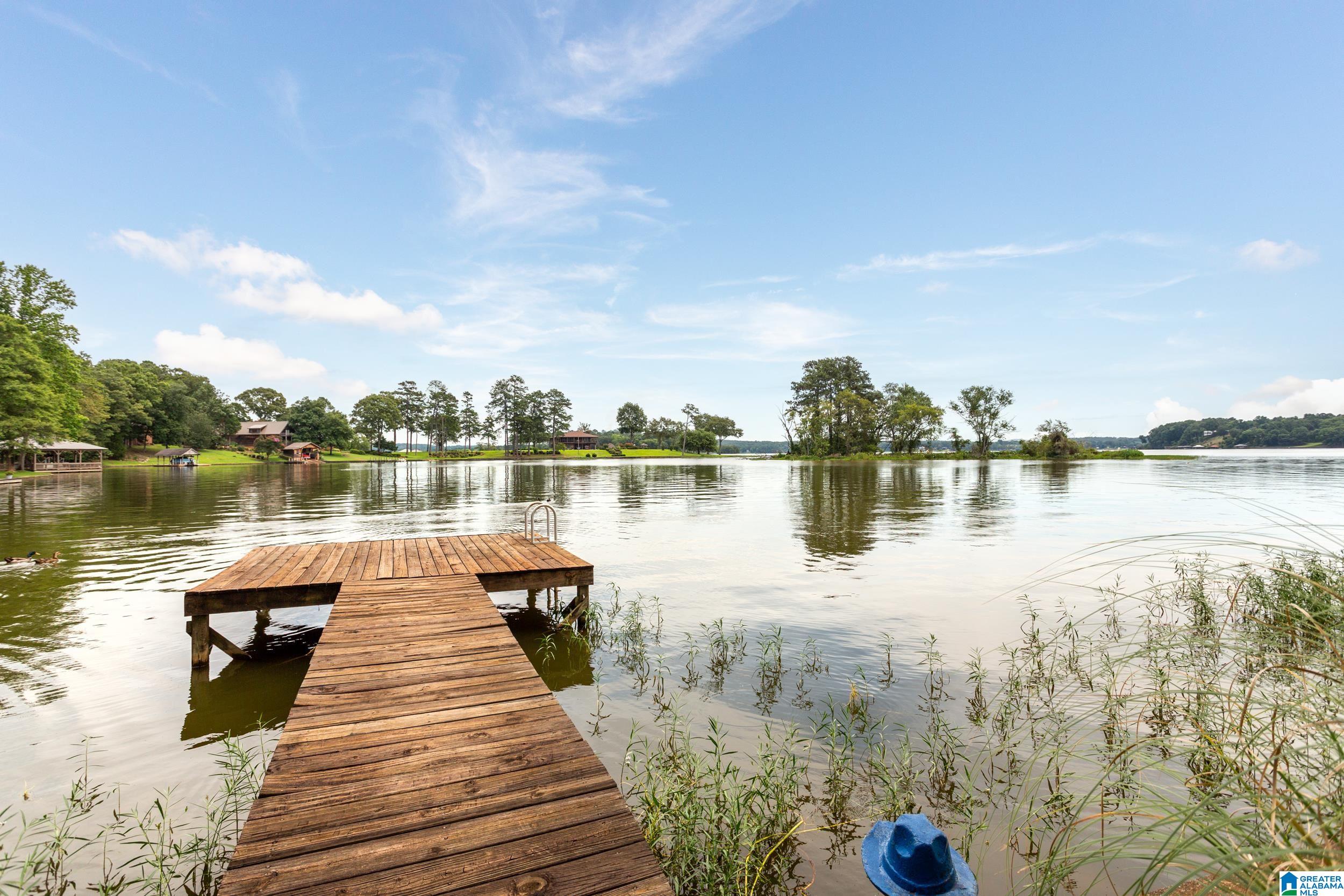 141 Lindsay Road Lincoln, AL 35096 - Photo 41 of 69