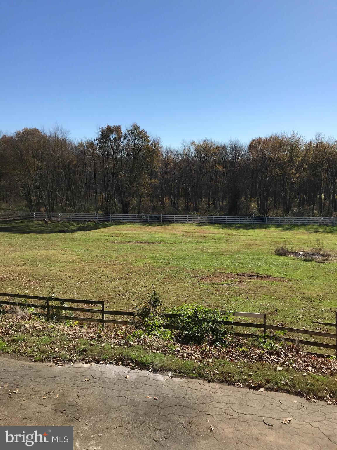 1064 Rock Springs Road Conowingo, MD 21918 - Photo 40 of 46 Pasture