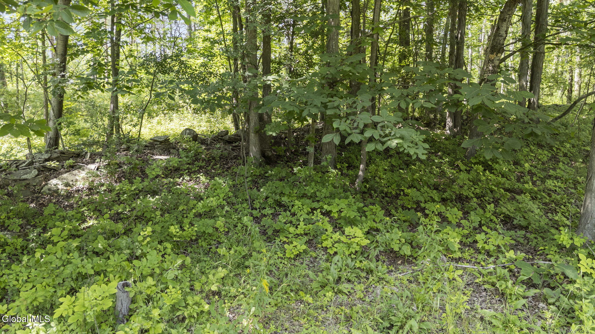 181 Gray Road Guilderland, NY 12009 - Photo 9 of 16 8-web-or-mls-181-gray-rd