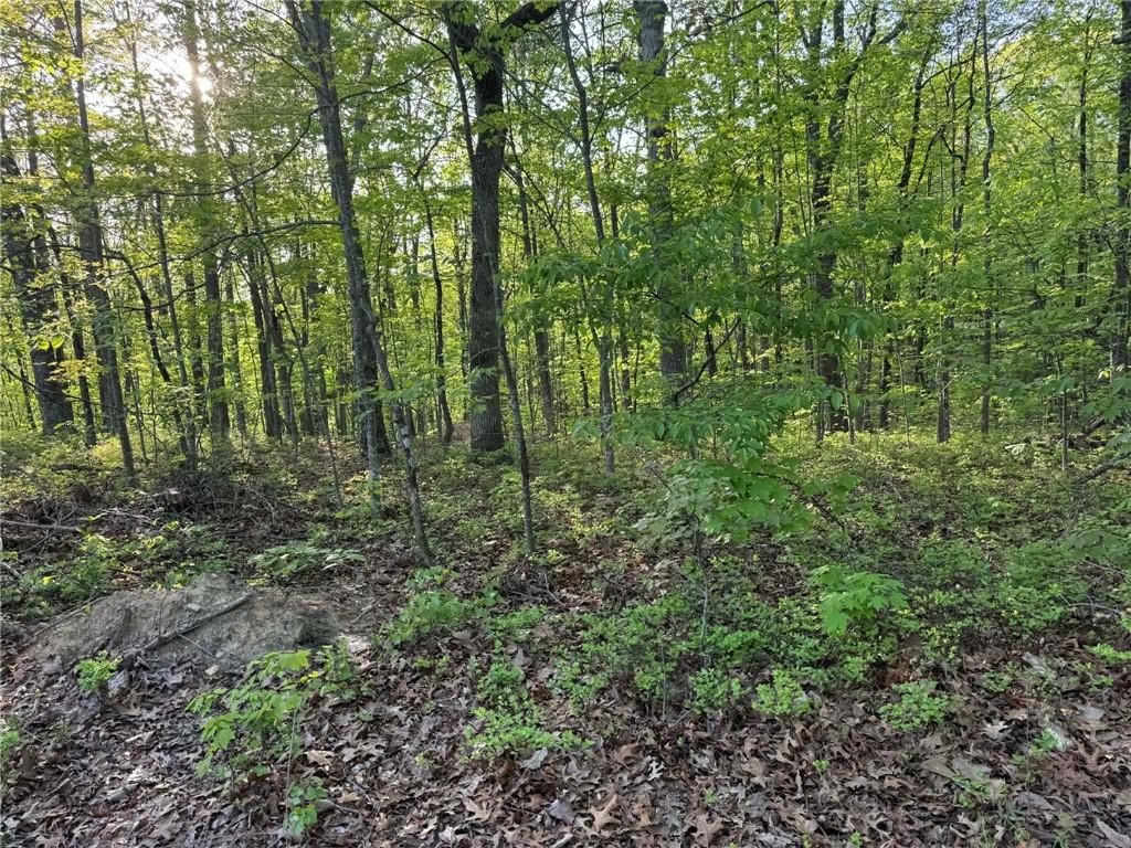 1440 Hanna Drive Ranger, GA 30734 - Photo 2 of 10 a view of a lush green forest