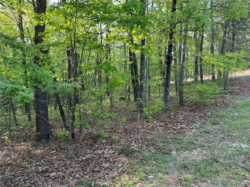 1440 Hanna Drive Ranger, GA 30734 - Photo 10 of 10 a view of a forest that has large trees