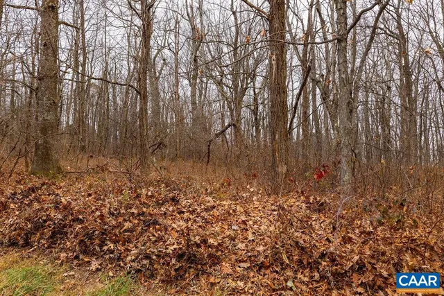 a view of a yard covered in snow