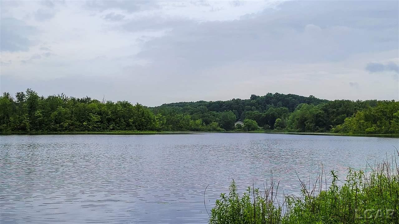 1628 Mull Road Tipton, MI 49287 - Photo 11 of 28 50078868-10.JPG