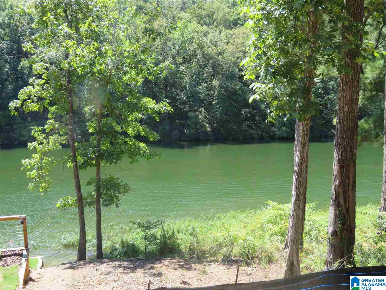 1100 Preserve Road Rockford, AL 35136 - Photo 18 of 18