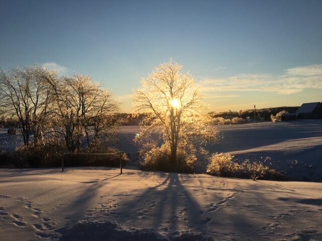 69 Smith Road Biddeford, ME 04005 - Photo 36 of 39 winter scape 2