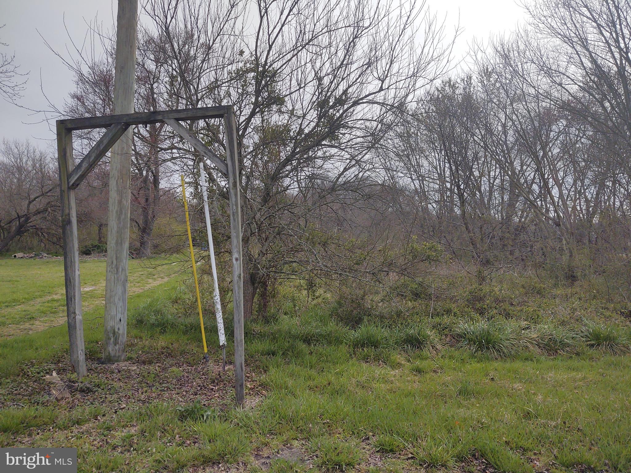 5045 Powellville Road Pittsville, MD 21850 - Photo 13 of 14 a view of a forest