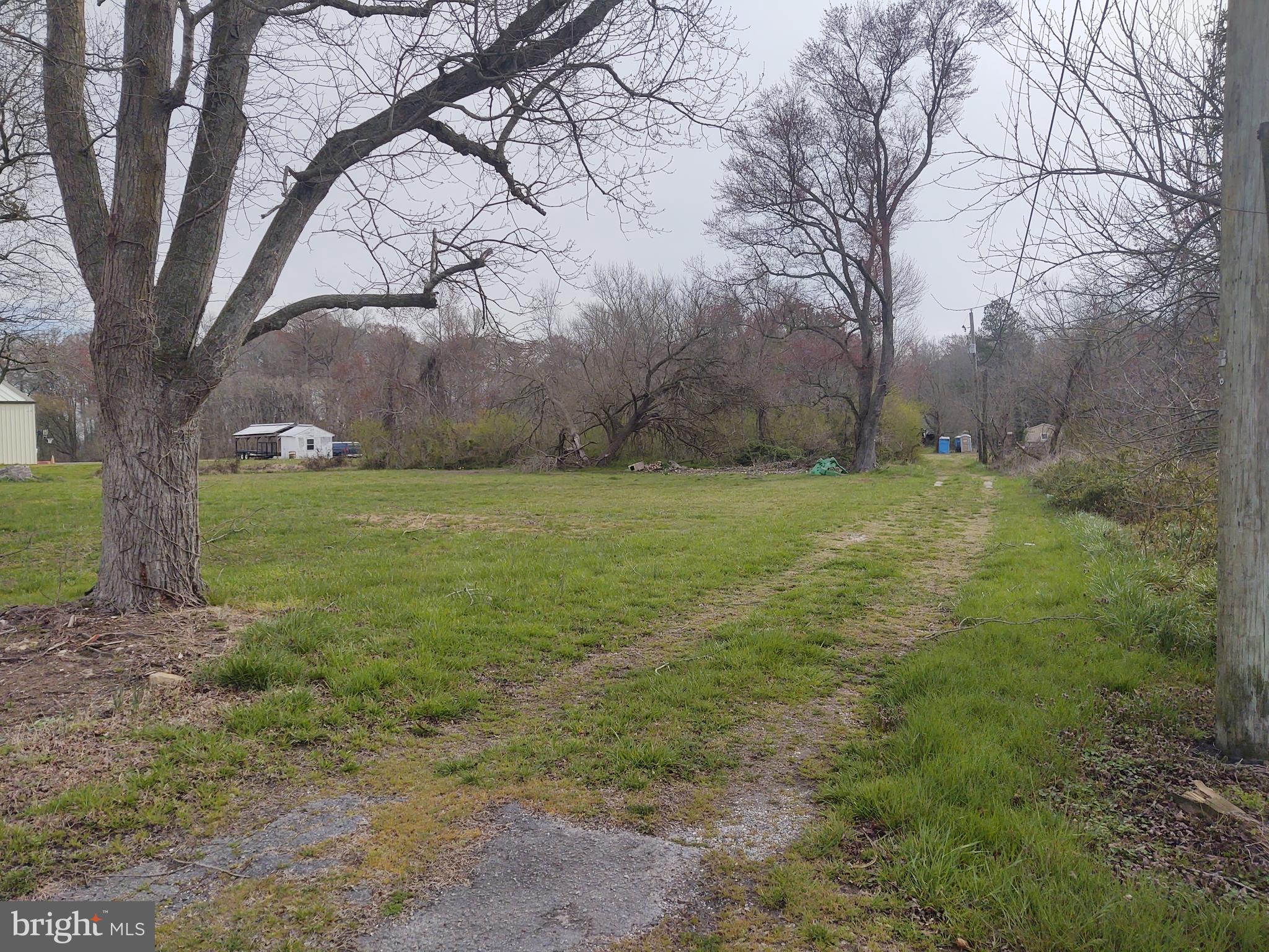 5045 Powellville Road Pittsville, MD 21850 - Photo 14 of 14 a view of a field with a tree in the background