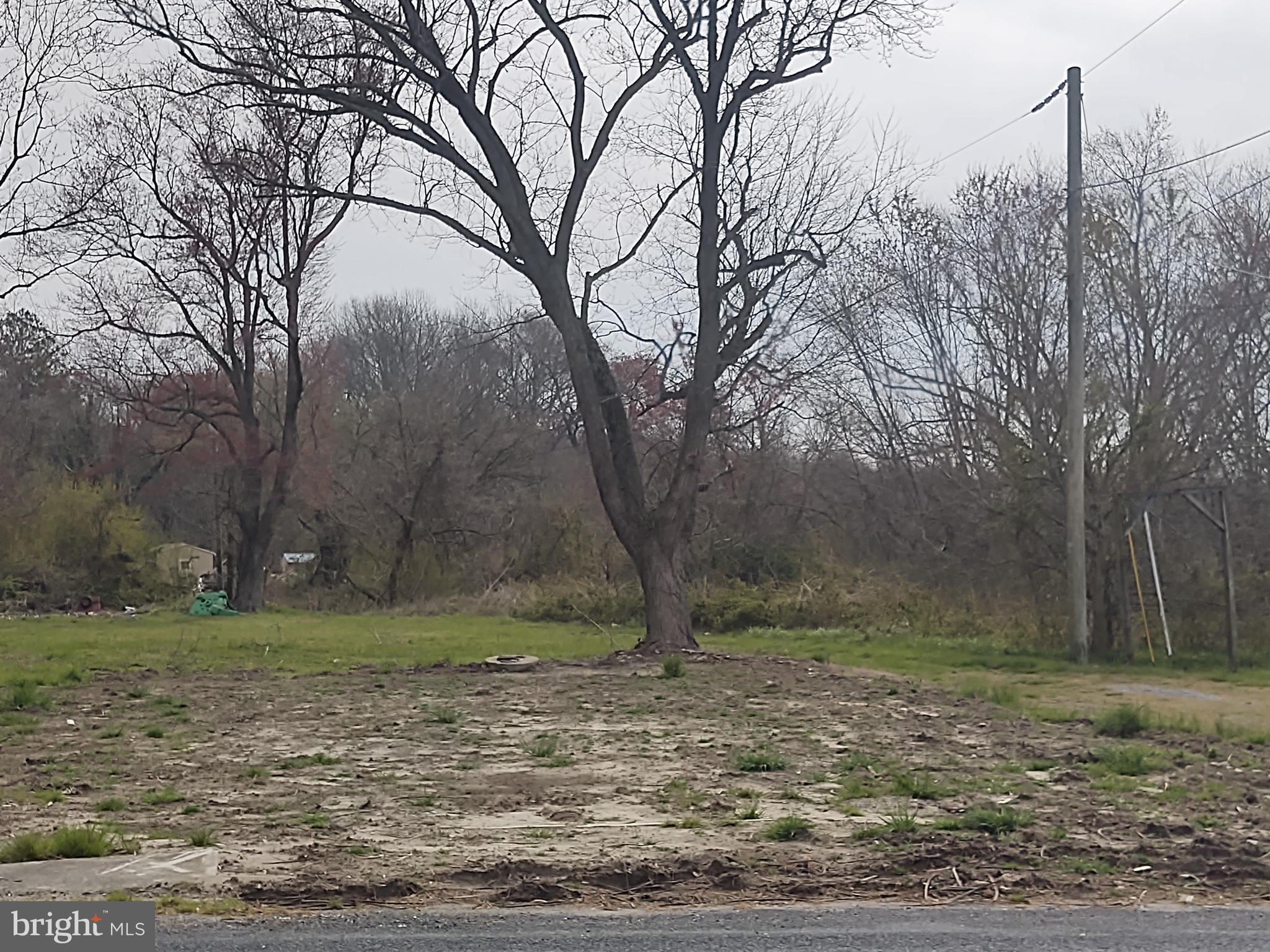 5045 Powellville Road Pittsville, MD 21850 - Photo 2 of 14 a view of a yard with trees
