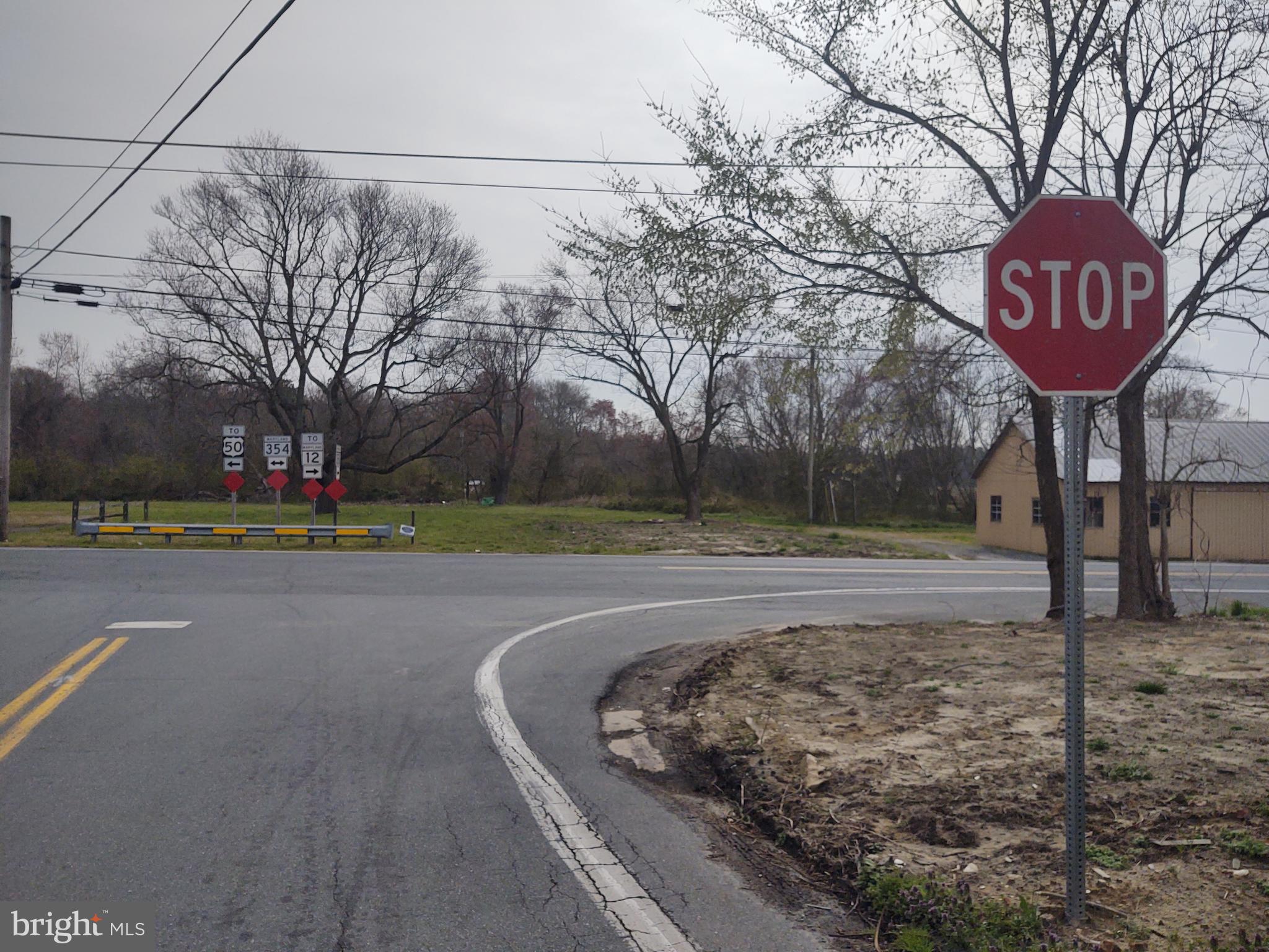 5045 Powellville Road Pittsville, MD 21850 - Photo 5 of 14 a view of a park with large trees