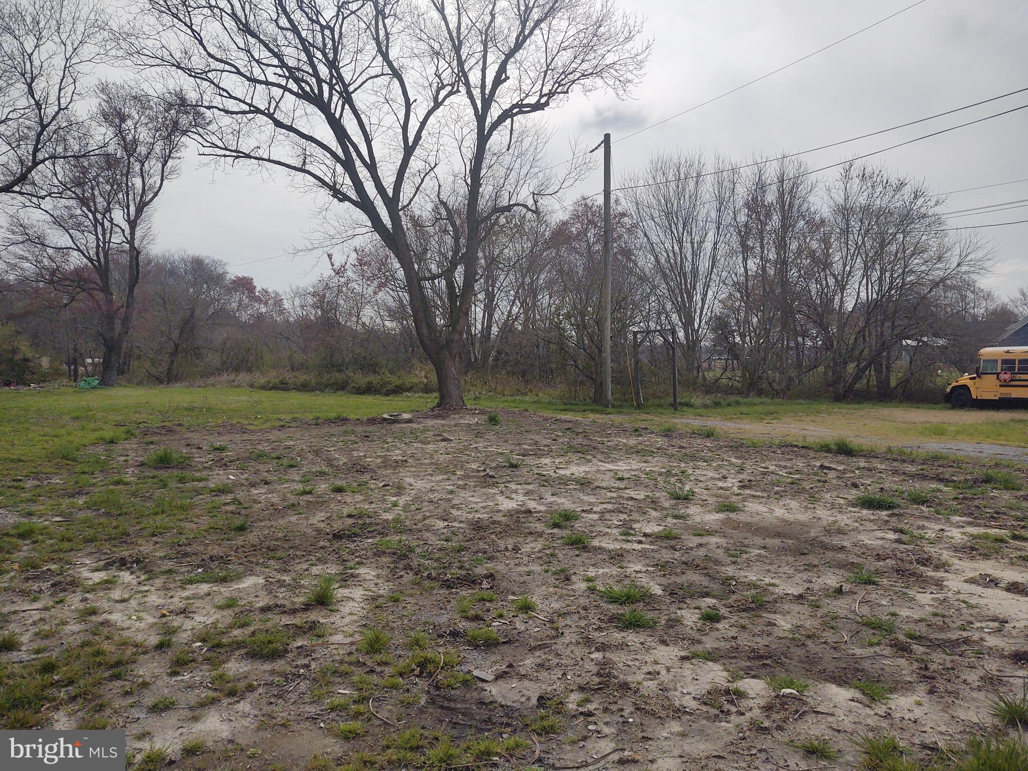 5045 Powellville Road Pittsville, MD 21850 - Photo 7 of 14 a view of a outdoor space