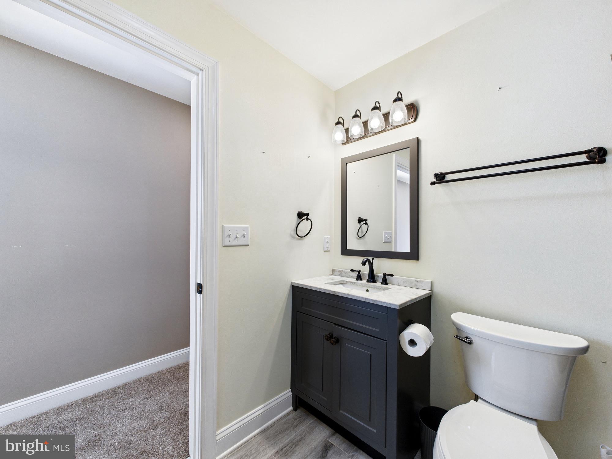 15551 Wharton Road Goldsboro, MD 21636 - Photo 32 of 80 a bathroom with a sink vanity mirror and toilet