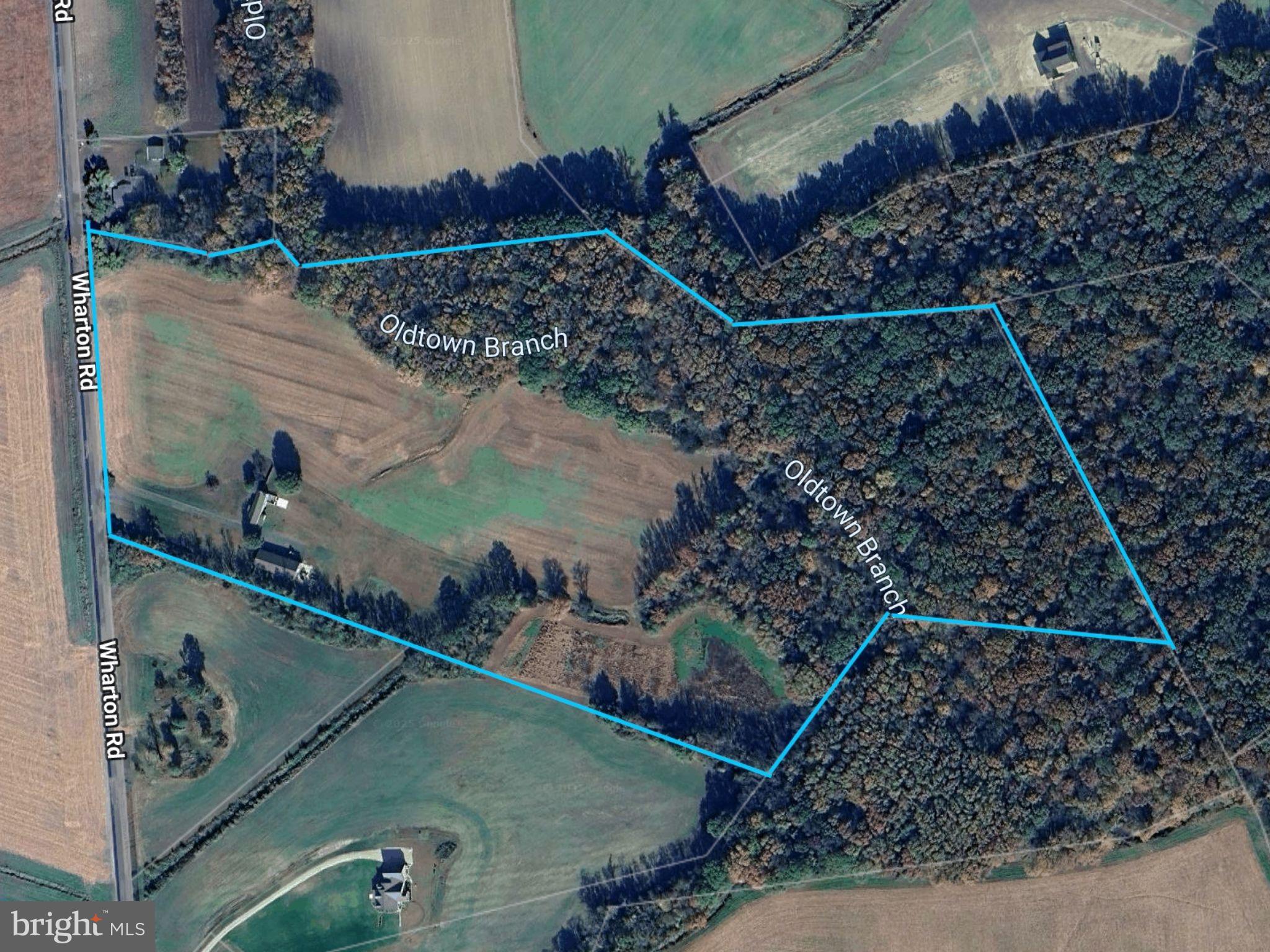 15551 Wharton Road Goldsboro, MD 21636 - Photo 71 of 80