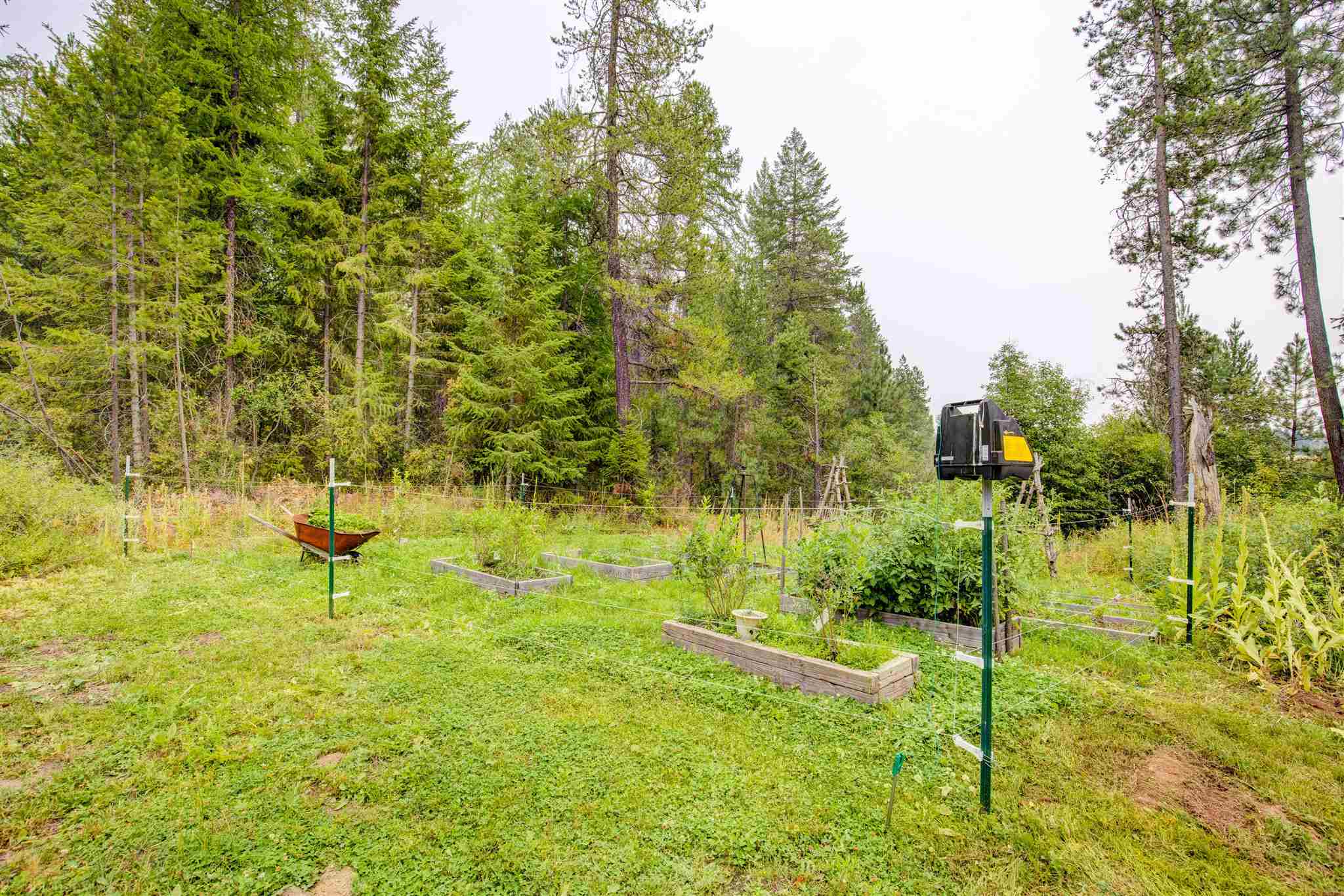 4689B Price Road Clayton, WA 99110 - Photo 29 of 33