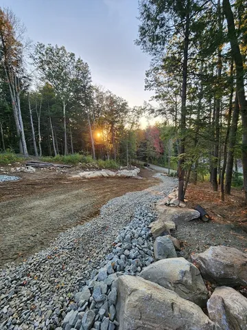 a view of a park with large trees