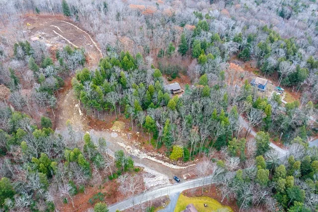 a view of a dry yard with trees