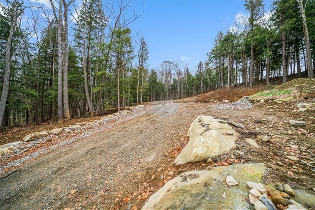 a view of a yard with trees