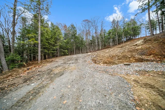 a outdoor view having yard