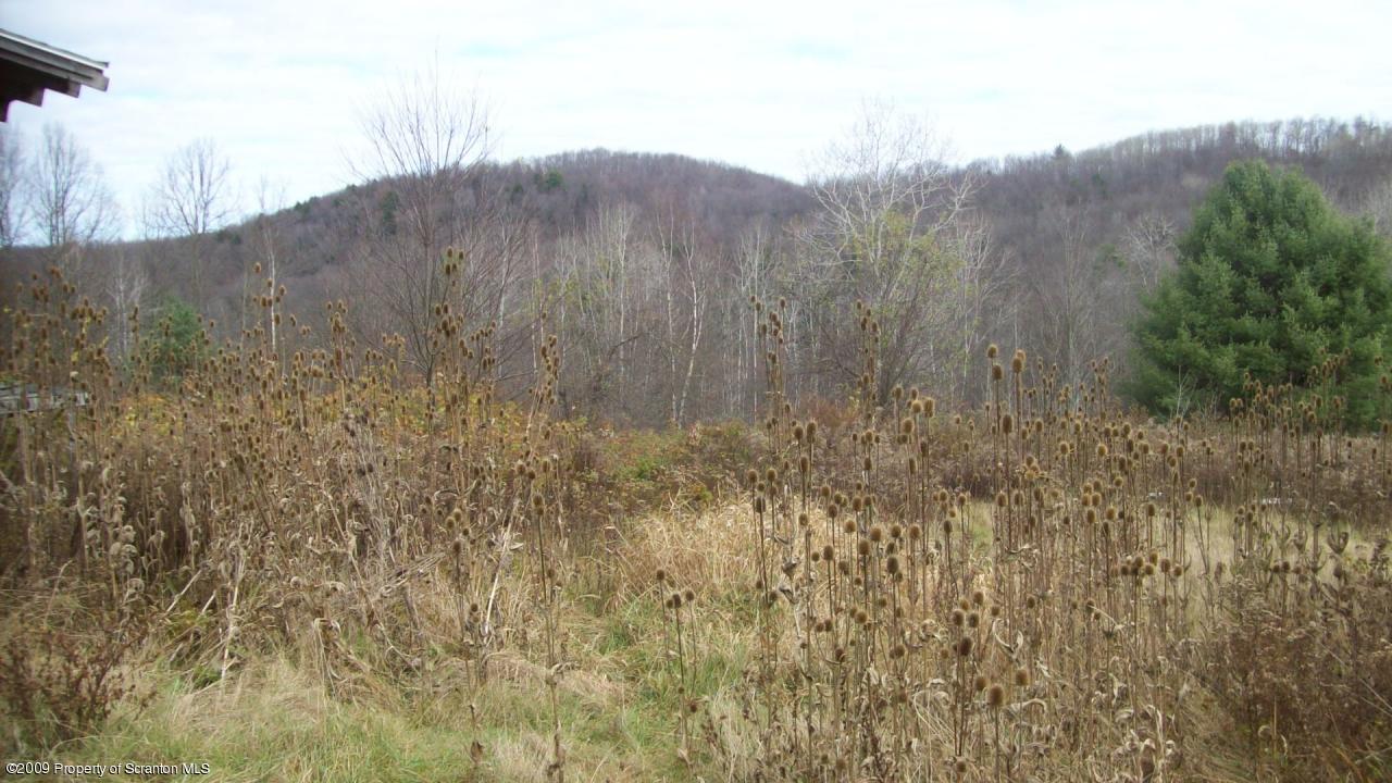 41 Dougherty Road Meshoppen, PA 18630 - Photo 3 of 7 ADDITIONAL PHOTO