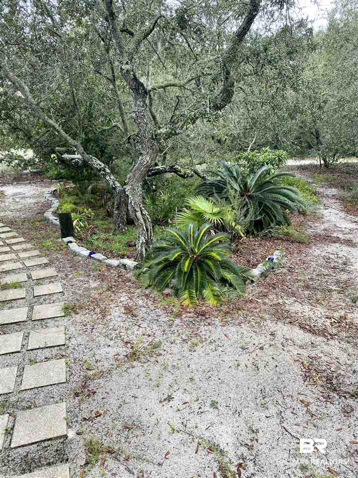 3971 Oleander Court Orange Beach, AL 36561 - Photo 15 of 31 Natural Landscape path