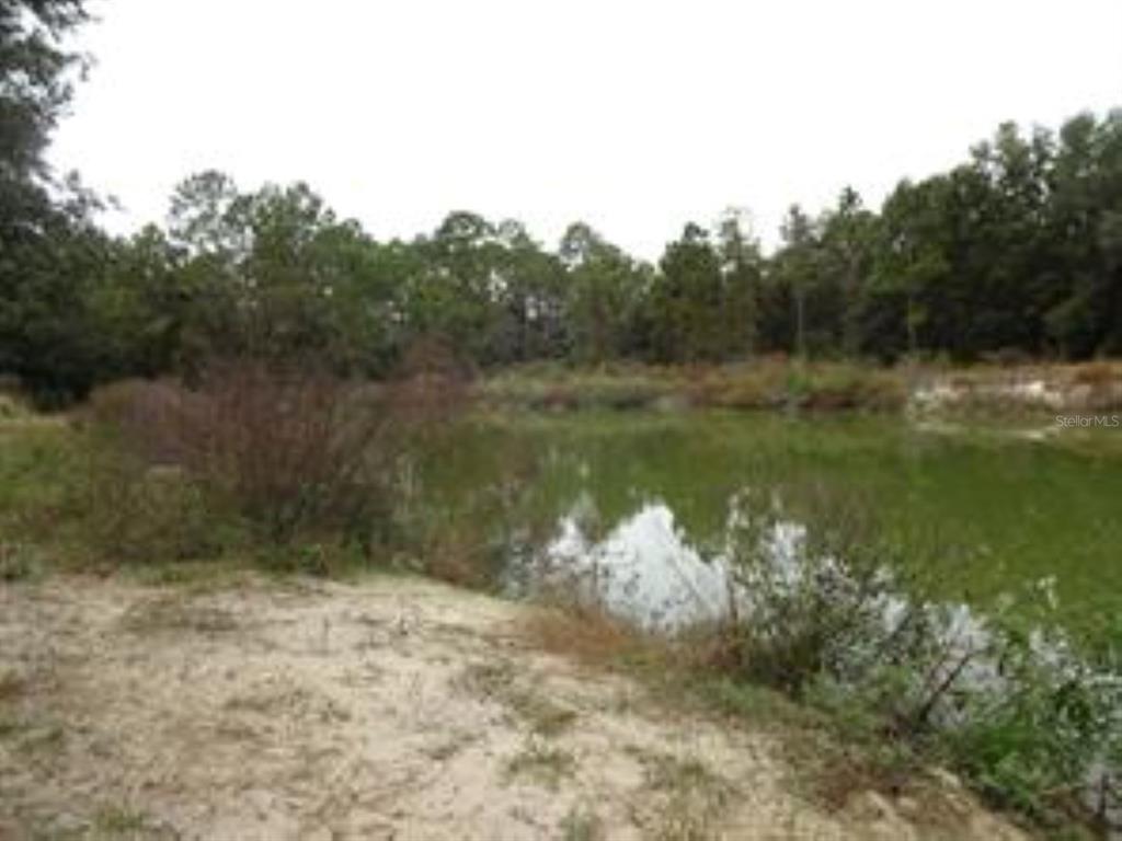 610 Burnsed Road Pierson, FL 32180 - Photo 9 of 14