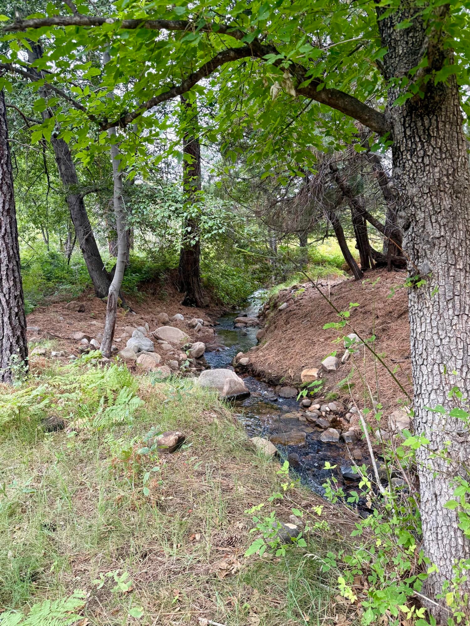 165 Burnt Point Trail Payson, AZ 85541 - Photo 10 of 14 Gallery Image 10