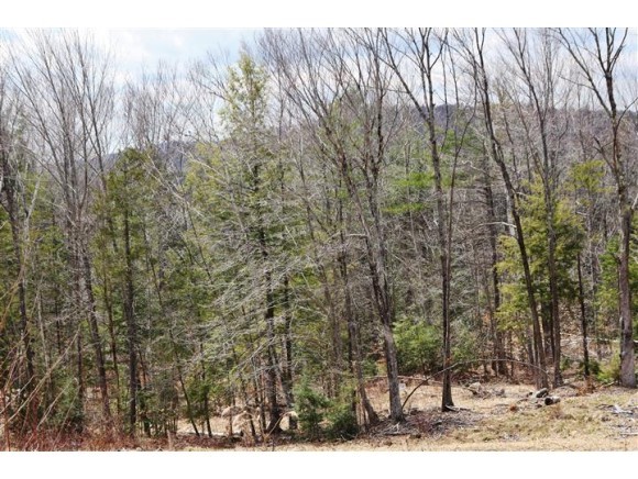 Lot 10-11 Christopher Road Charlestown, NH 03603 - Photo 1 of 1