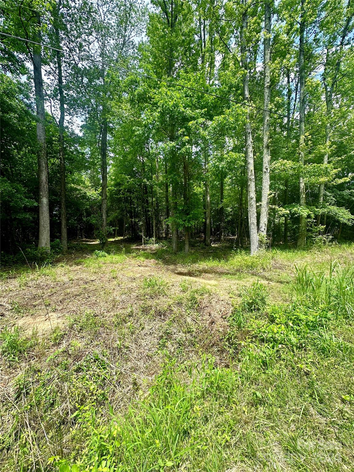 0 Brown Acres Road Salisbury, NC 28146 - Photo 2 of 2 Gallery Image 2