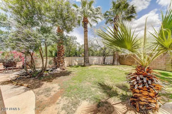 a view of a yard with plants and trees