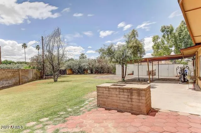 a view of a backyard with large tree