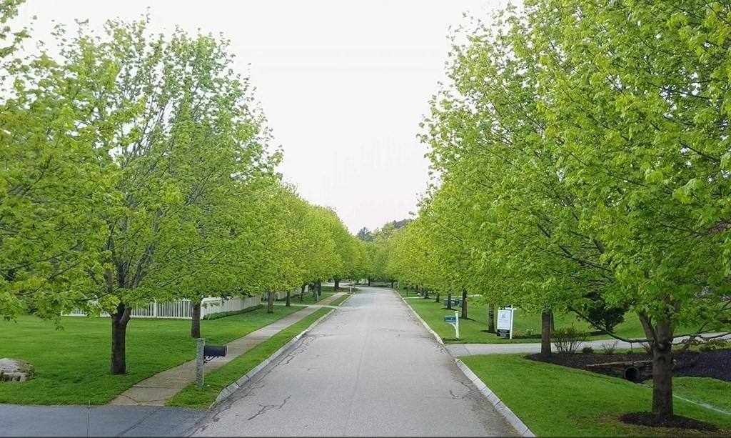 8 Stonegate Lane Dover, MA 02030 - Photo 3 of 42