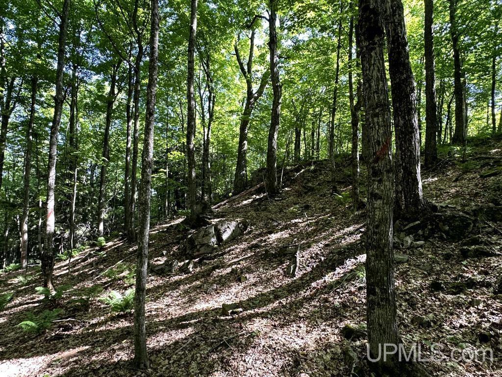 0 County Road 553 Road Marquette, MI 49855 - Photo 31 of 38