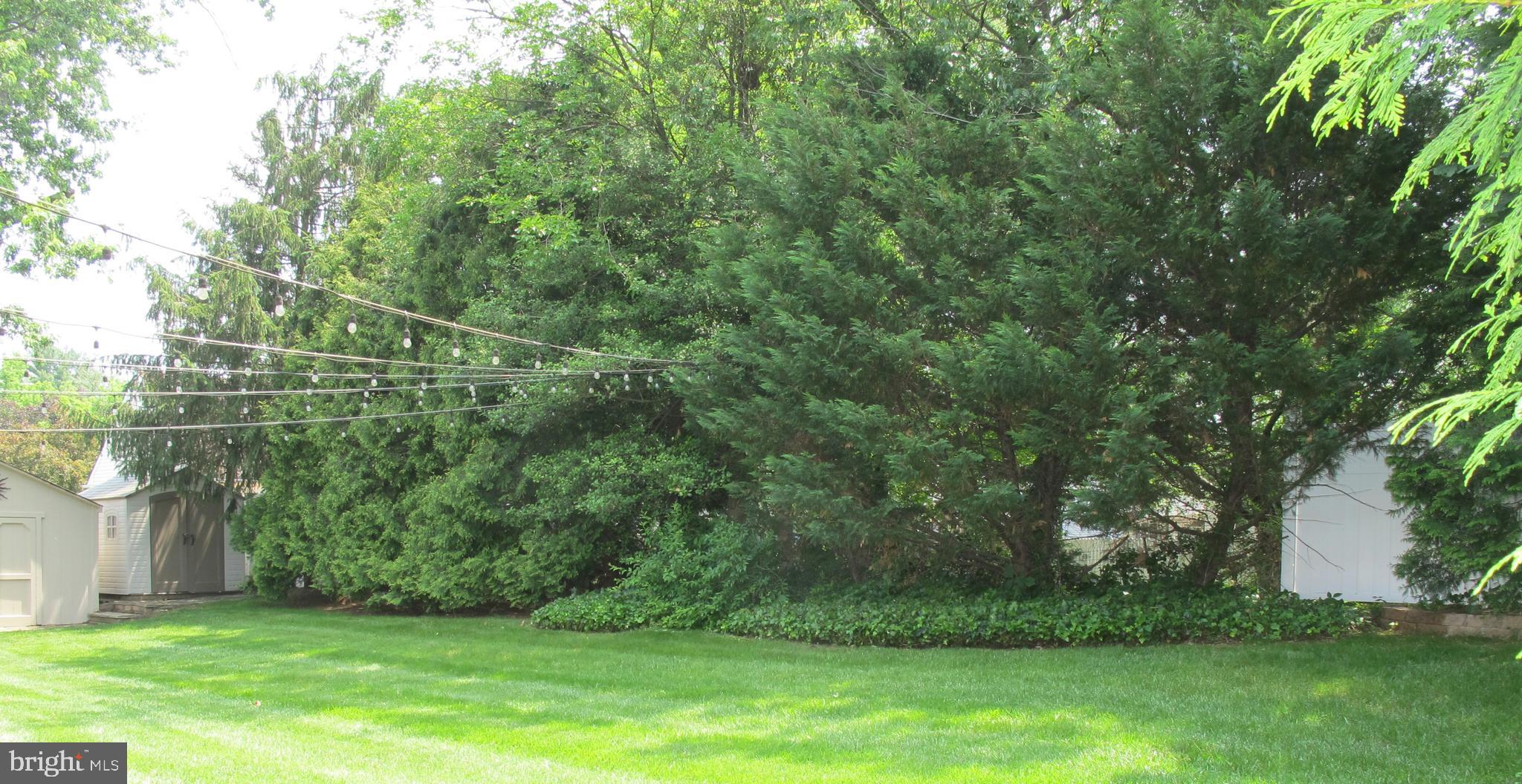 126 Devon Road Cinnaminson, NJ 08077 - Photo 35 of 38 Mature Privacy trees