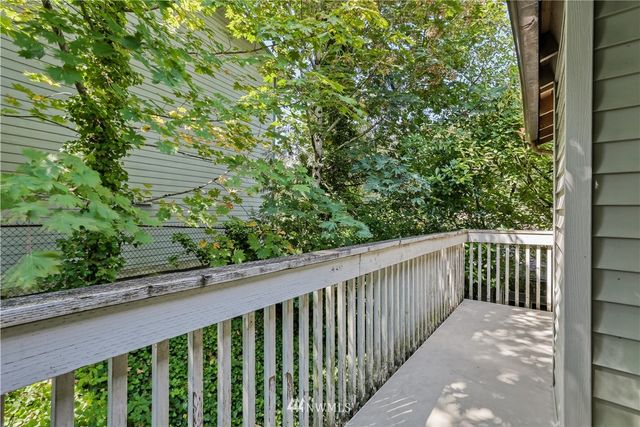 a view of a yard with plants and large trees