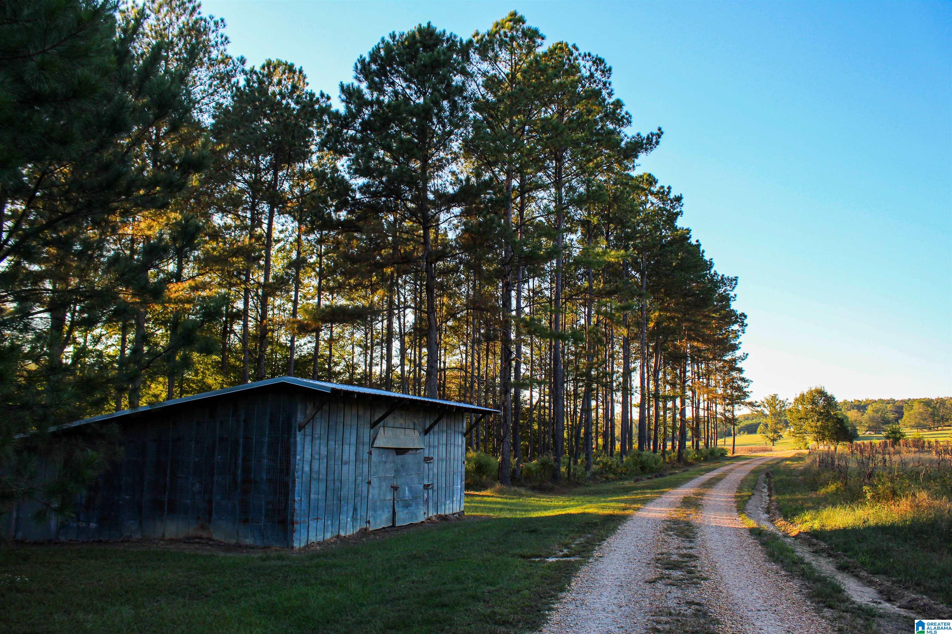 845 Turner Road Fayette, AL 35555 - Photo 45 of 61