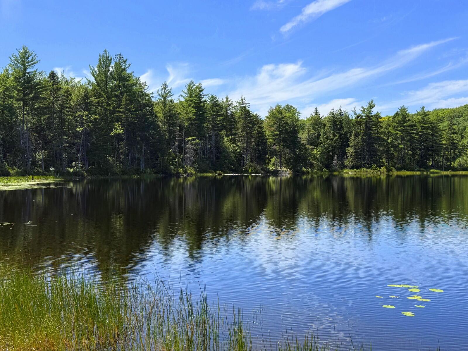 Lot 83-84 Off Jesse Ladd Road Vienna, ME 04360 - Photo 13 of 46 6