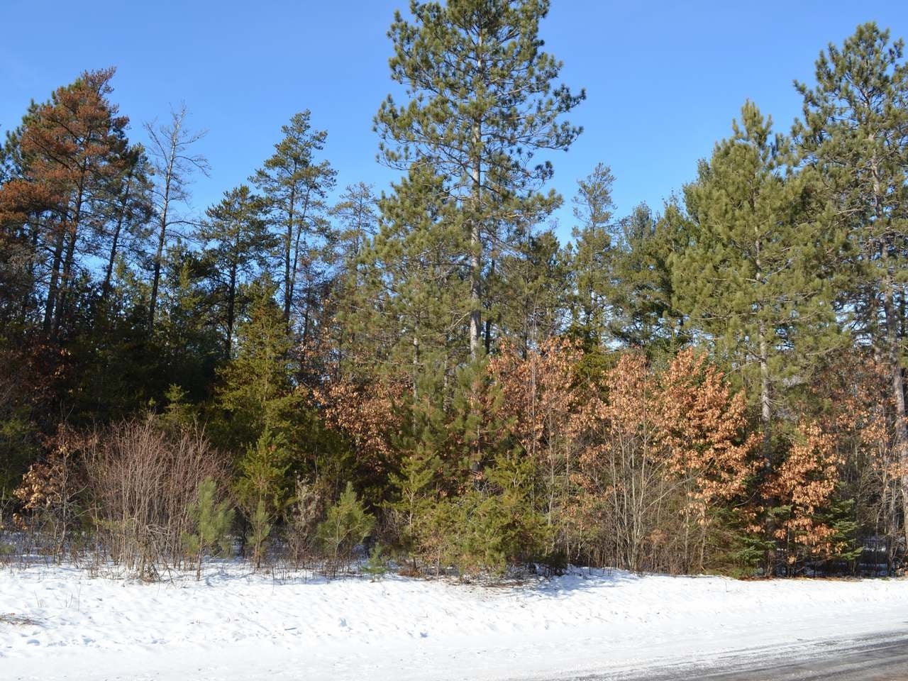 14 Ralph Lane Tomahawk, WI 54487 - Photo 6 of 9 Gallery Image 6
