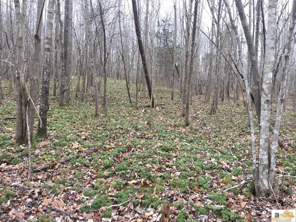 3300 Wards Road Mount Sherman, KY 42764 - Photo 51 of 71 Gallery Image 51