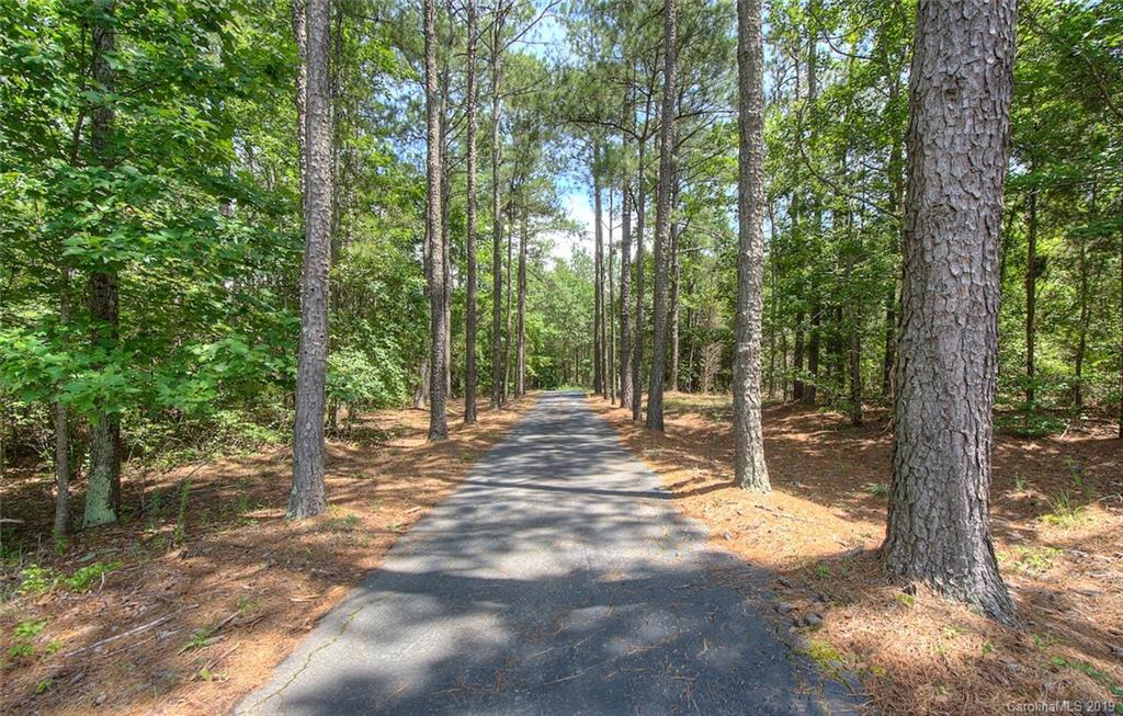 314 Steel Hill Road Lancaster, SC 29720 - Photo 2 of 47 a view of a forest with trees in the background