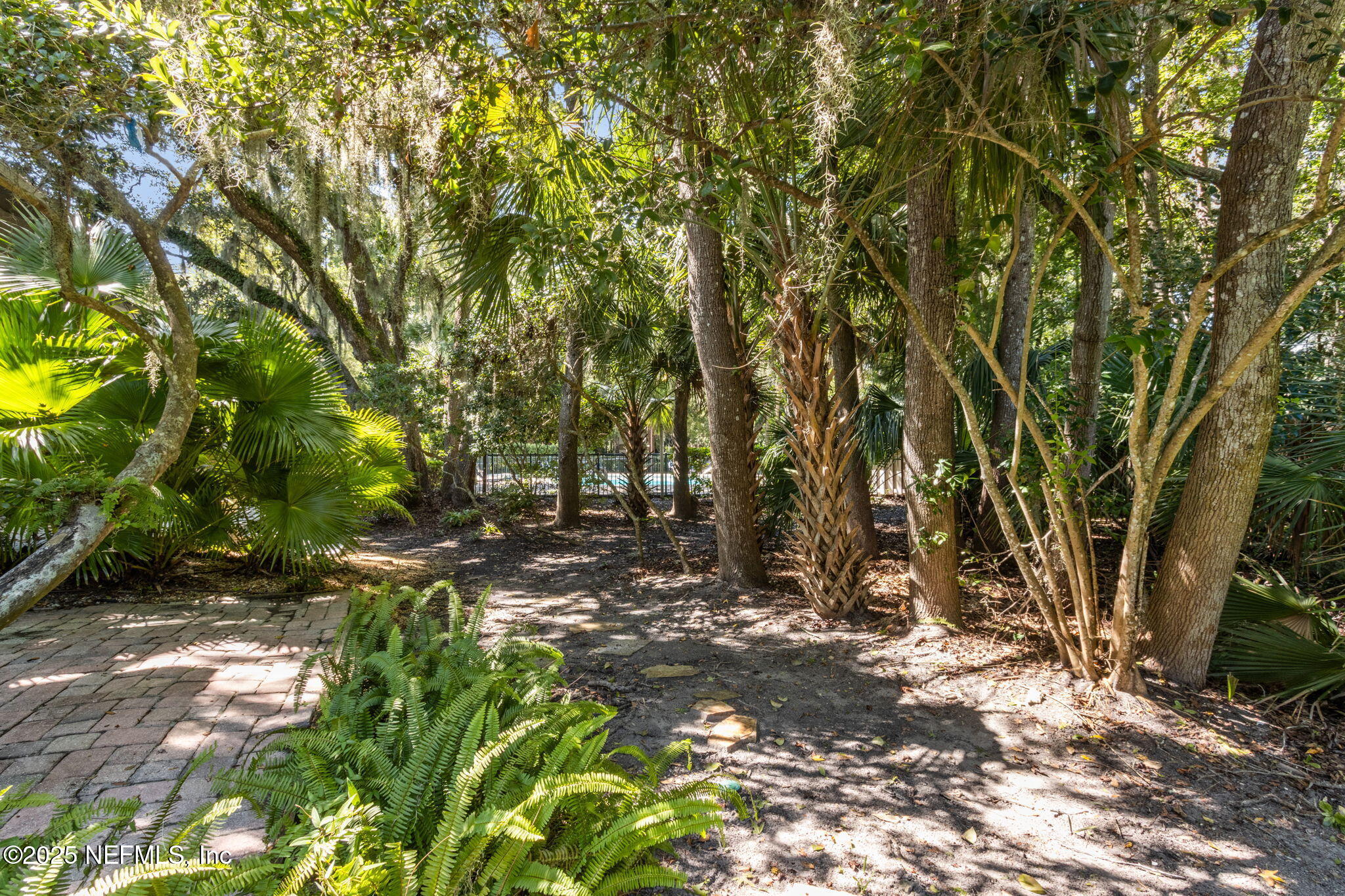 3028 Sea Marsh Road Fernandina Beach, FL 32034 - Photo 23 of 39 a backyard of a house with lots of green space