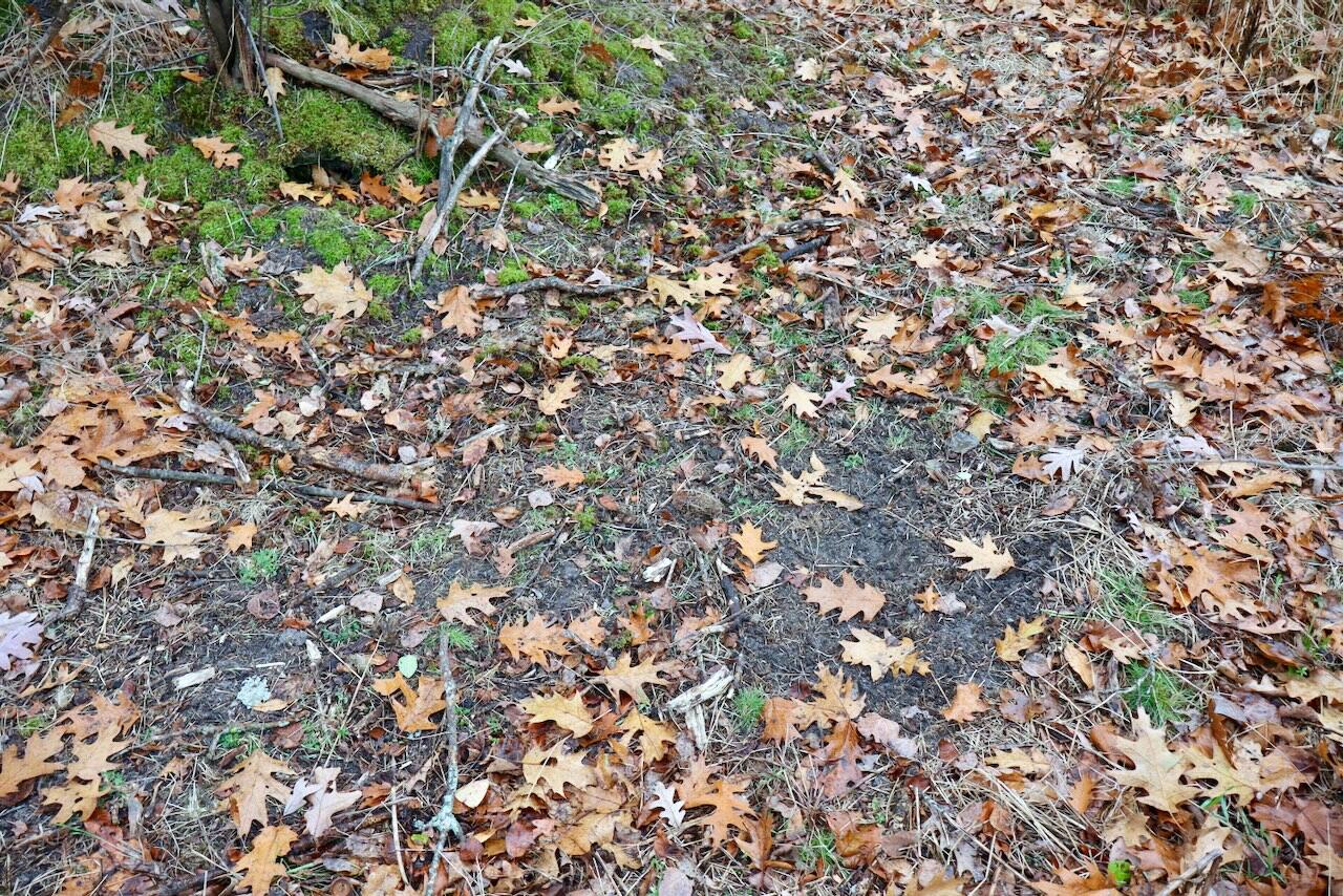 Hatton Road Farwell, MI 48622 - Photo 72 of 78 Gallery Image 72