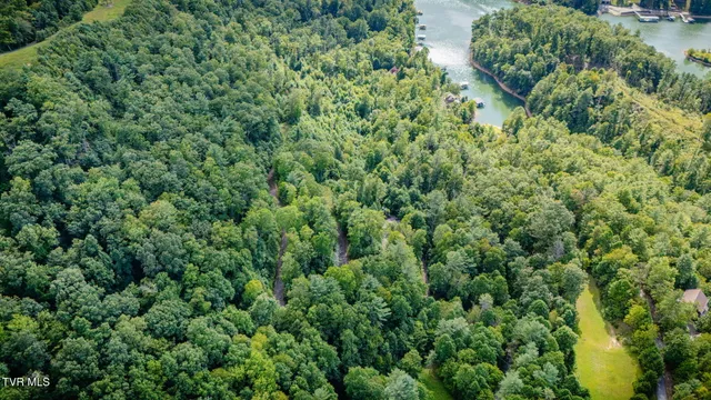 $425,000 | Tbd Cove Ridge Road, Butler, TN 37640