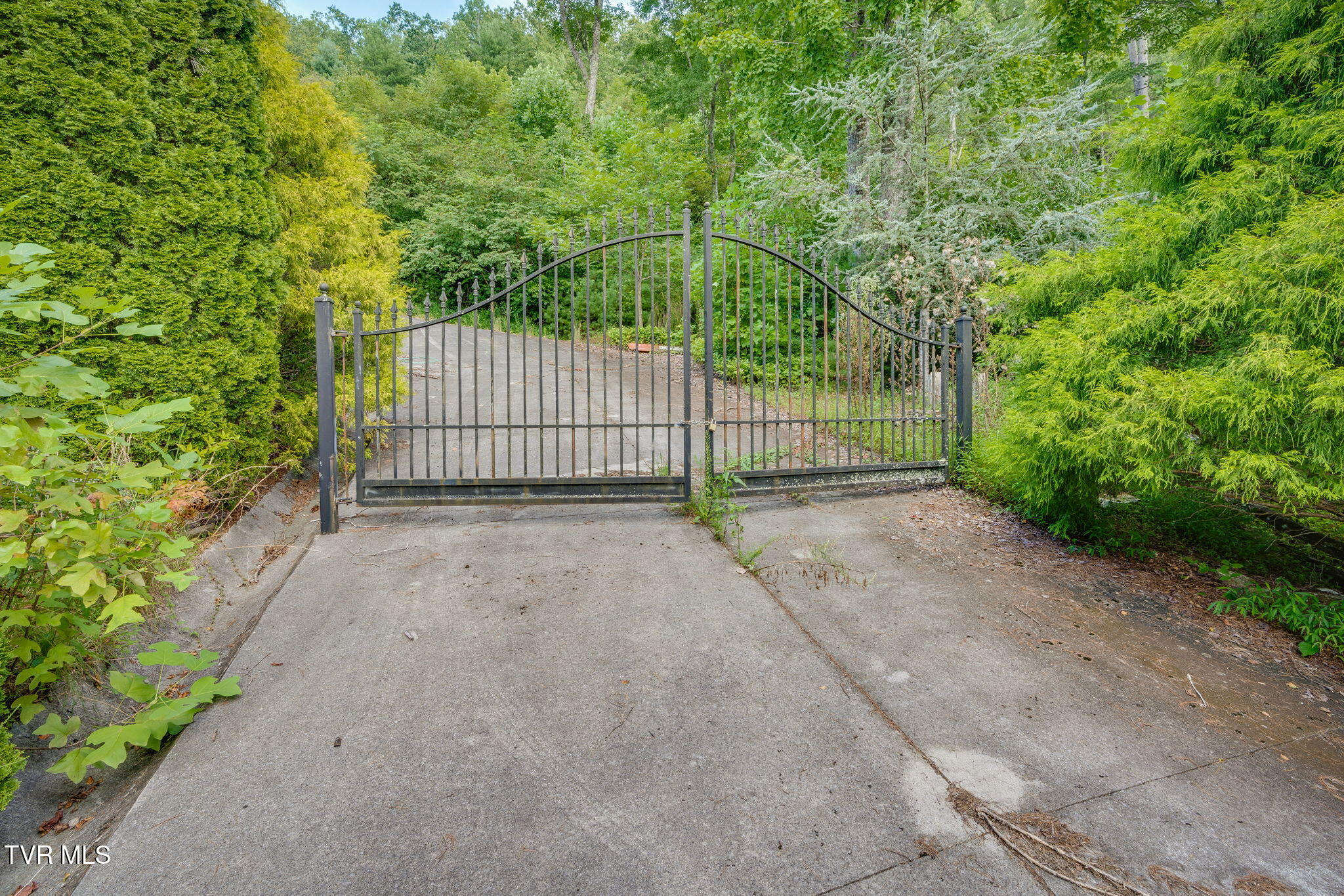 Tbd Cove Ridge Road Butler, TN 37640 - Photo 4 of 12 G