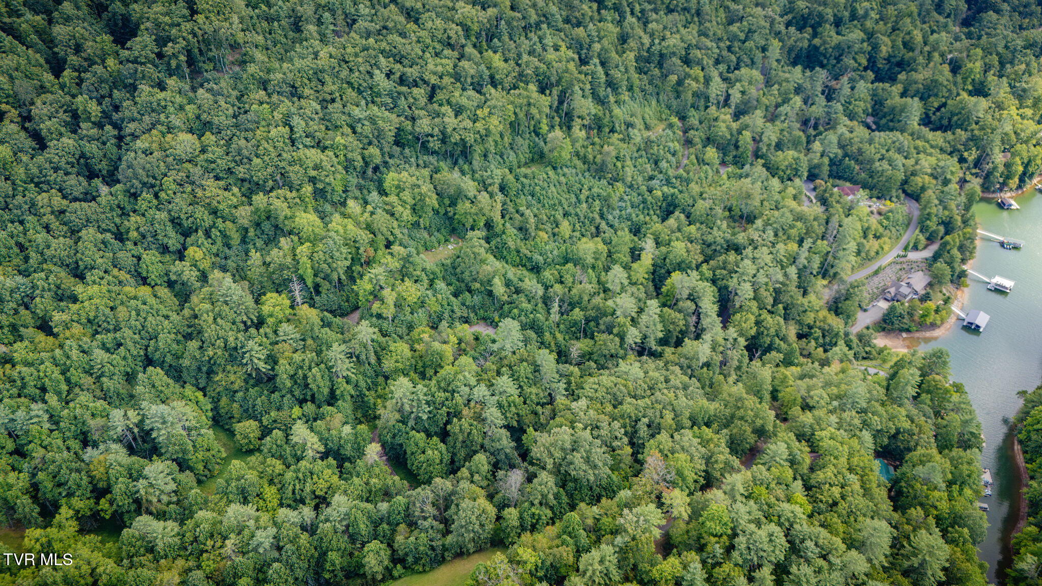 Tbd Cove Ridge Road Butler, TN 37640 - Photo 5 of 12 I