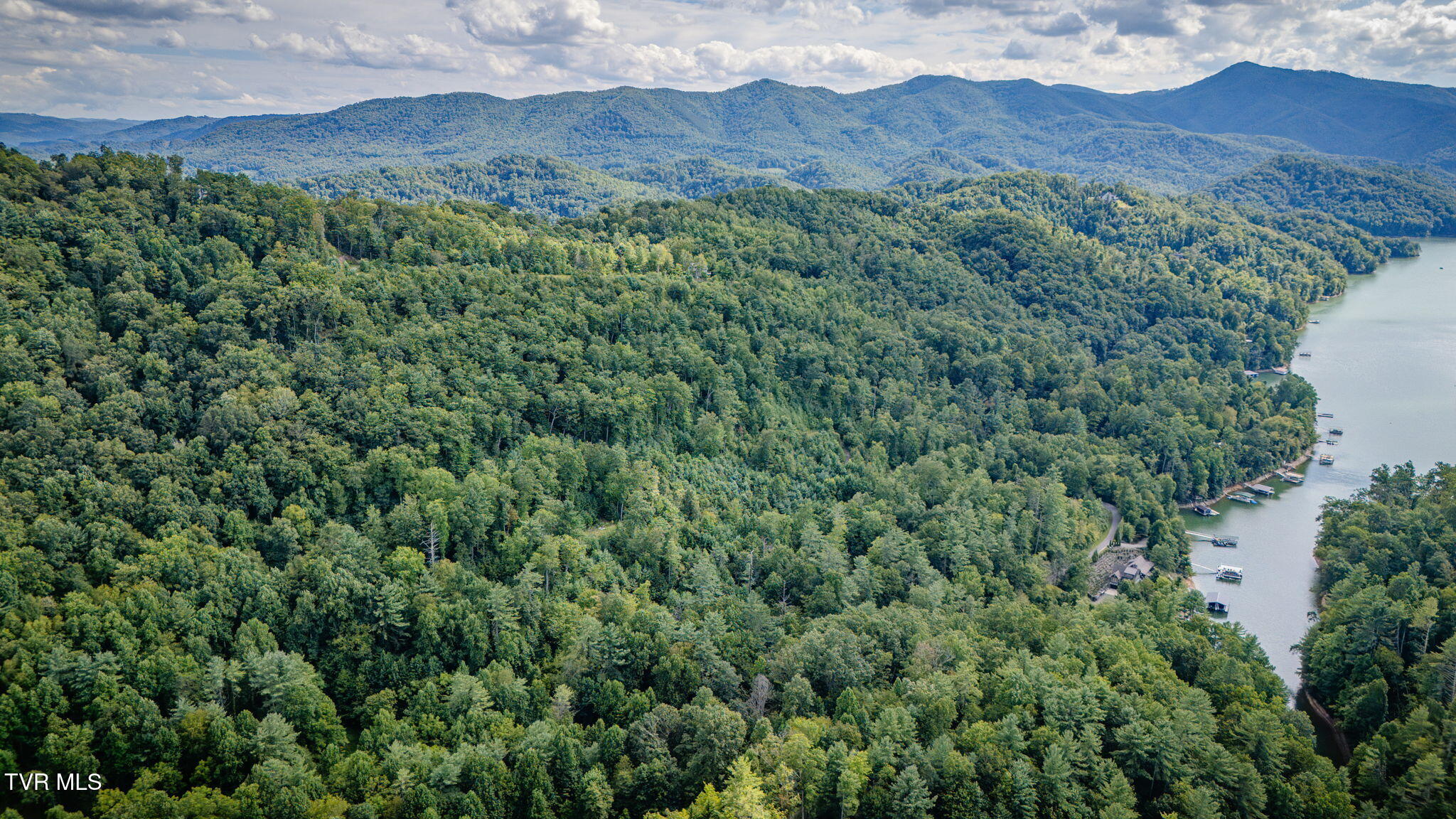 Tbd Cove Ridge Road Butler, TN 37640 - Photo 7 of 12 M