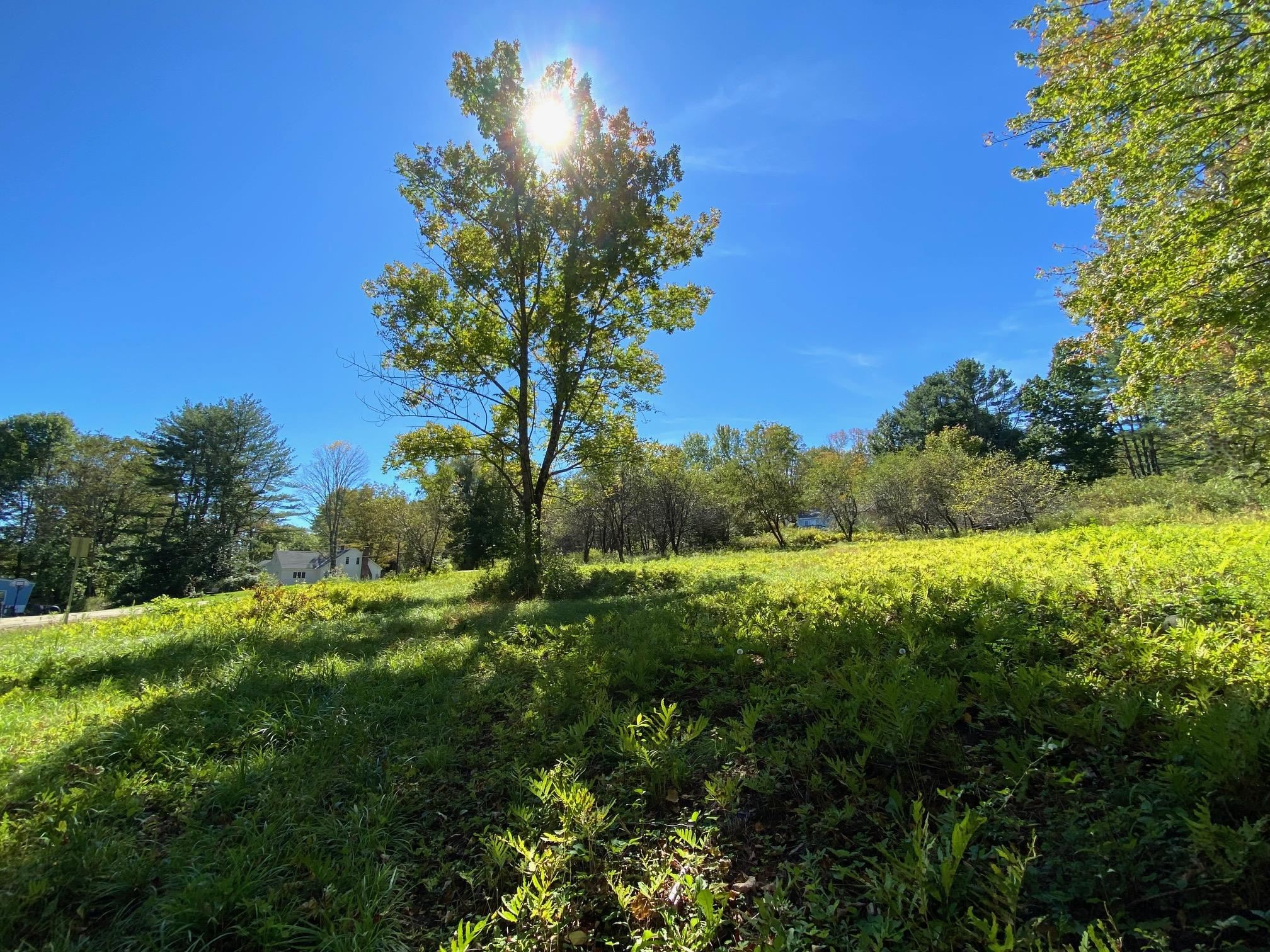 0 Gib Lockerby Road Grafton, VT 05146 - Photo 1 of 17