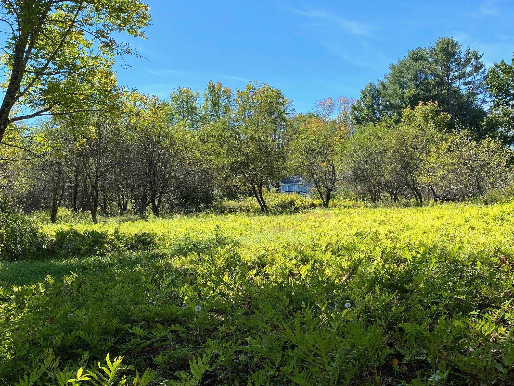 0 Gib Lockerby Road Grafton, VT 05146 - Photo 2 of 17