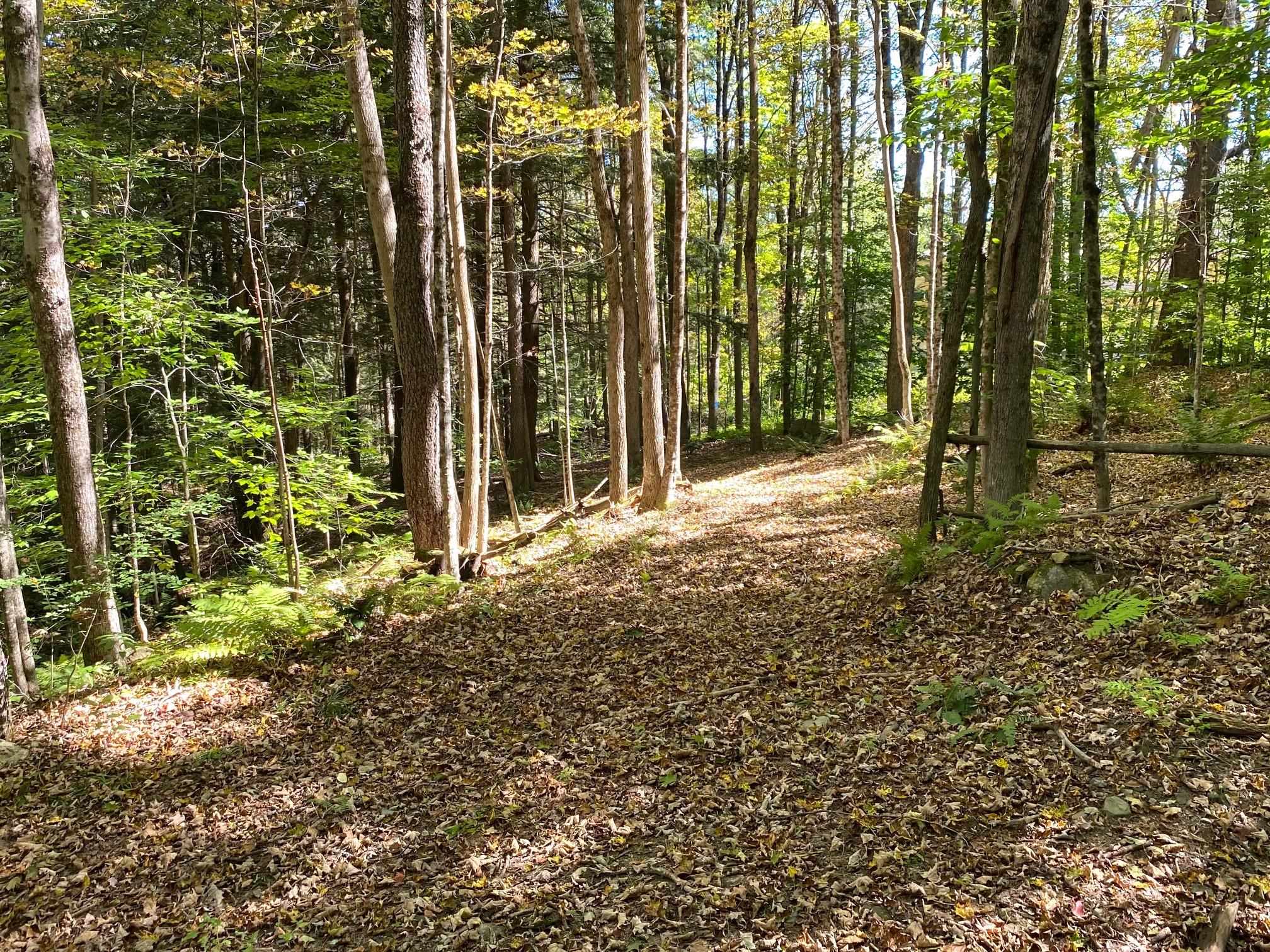 0 Gib Lockerby Road Grafton, VT 05146 - Photo 11 of 17