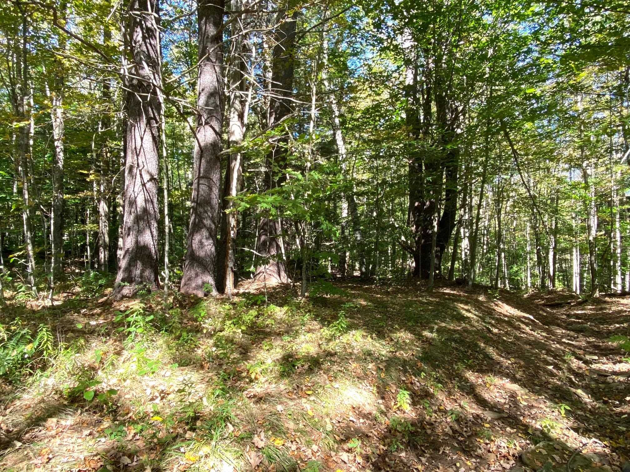 0 Gib Lockerby Road Grafton, VT 05146 - Photo 15 of 17