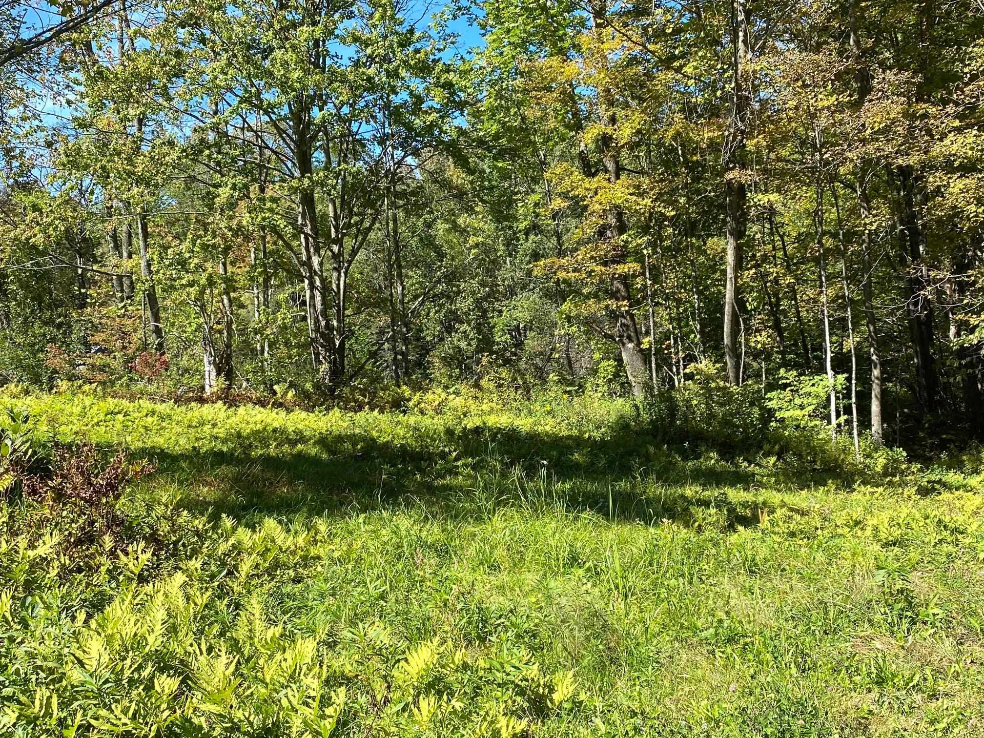 0 Gib Lockerby Road Grafton, VT 05146 - Photo 3 of 17