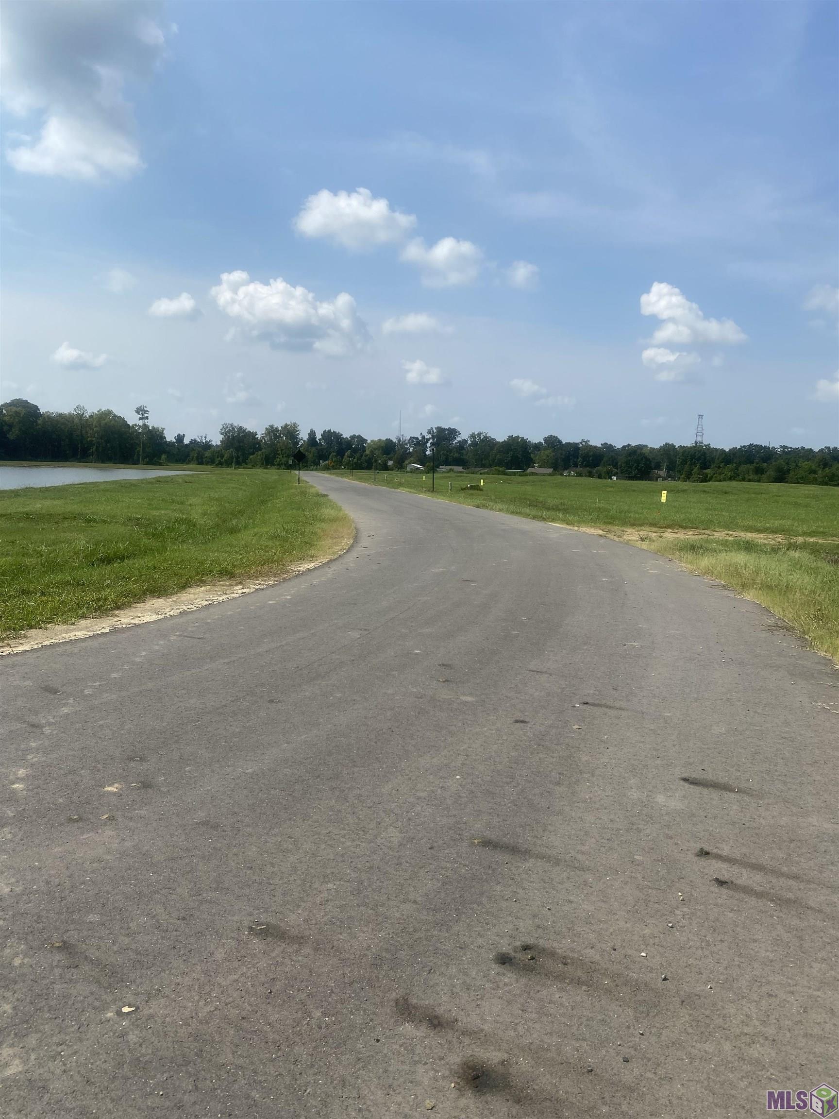 Lot 24 Buddy Gore Road Gonzales, LA 70737 - Photo 2 of 4